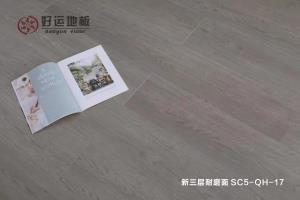 粉色视频在线播放地板 | 居家生活，百看不腻
